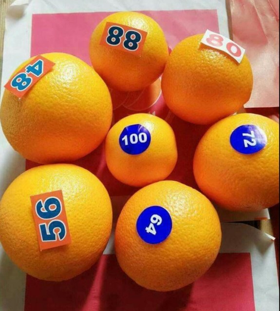 Valencia orange